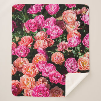 Couverture Sherpa Les fleurs en fleurs forment une texture arrière -