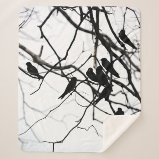 COUVERTURE SHERPA LES OISEAUX