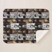 Couverture Sherpa Les présidents américains, Hamilton et Franklin (Devant (Horizontal))