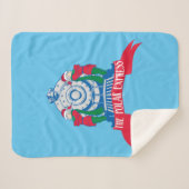 Couverture Sherpa L'Express polaire | Elfes debout En Train (Devant (Horizontal))