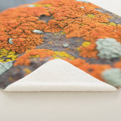 Couverture Sherpa Lichen orange moss pierre gris (3/4)