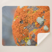 Couverture Sherpa Lichen orange moss pierre gris (Devant (Horizontal))