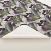 Couverture Sherpa Lily (3/4)