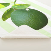 Couverture Sherpa Lime Sherpa Blanket (3/4)