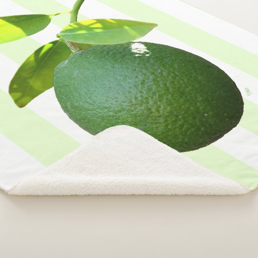 Couverture Sherpa Lime Sherpa Blanket (3/4)