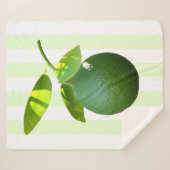 Couverture Sherpa Lime Sherpa Blanket (Devant (Horizontal))