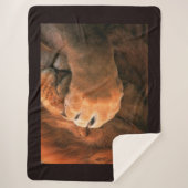 Couverture Sherpa Lion (Devant)