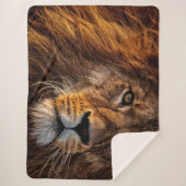 Couverture Sherpa Lion (Devant)
