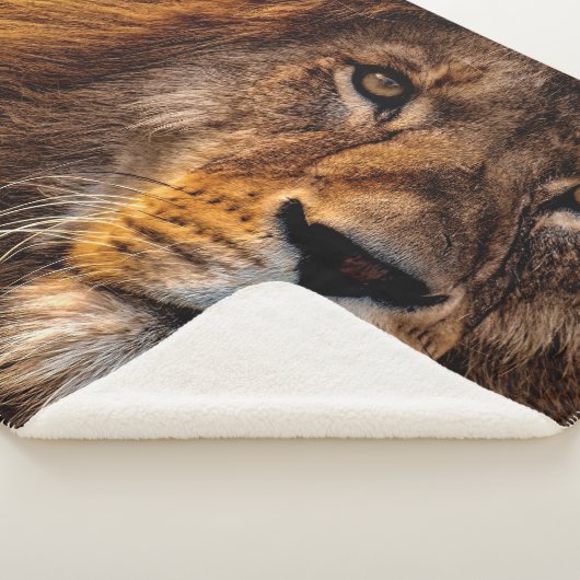 Couverture Sherpa Lion (3/4)