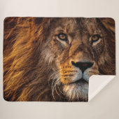 Couverture Sherpa Lion (Devant (Horizontal))