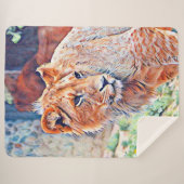 Couverture Sherpa lion d'aquarell (Devant (Horizontal))
