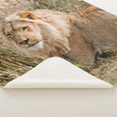 COUVERTURE SHERPA LION EN GRAS (3/4)