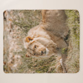 COUVERTURE SHERPA LION EN GRAS (Devant (Horizontal))
