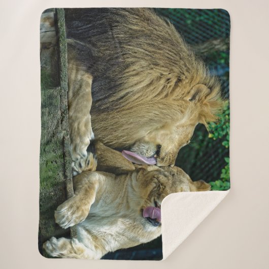 COUVERTURE SHERPA LION LOVE (Devant)