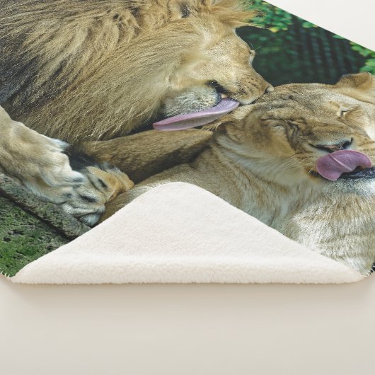 COUVERTURE SHERPA LION LOVE (3/4)