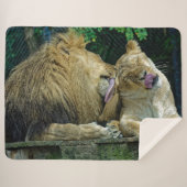 COUVERTURE SHERPA LION LOVE (Devant (Horizontal))
