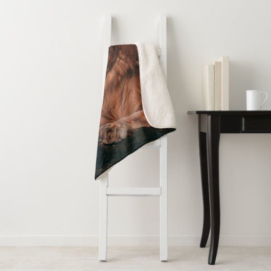 COUVERTURE SHERPA LION LYING ON BROWN ROCK (En situation)