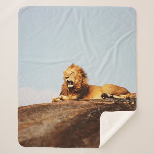 COUVERTURE SHERPA LION ON GROUND DURING DAYTIME (Devant)