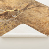 Couverture Sherpa Lion Sherpa Blanket (3/4)