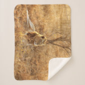 Couverture Sherpa Lion Sherpa Blanket (Devant)