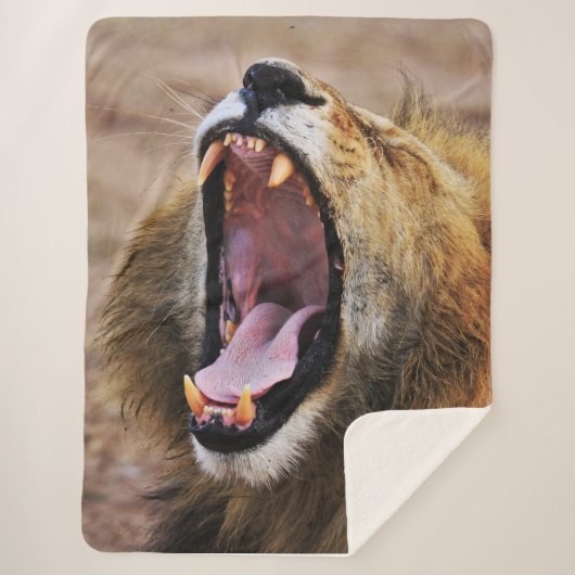 COUVERTURE SHERPA LION YAWN (Devant)