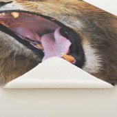 COUVERTURE SHERPA LION YAWN (3/4)