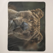 COUVERTURE SHERPA LIONNEMENT (Devant)