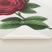 Couverture Sherpa Lithographie de rose antique, François-Frédéric Gr (3/4)