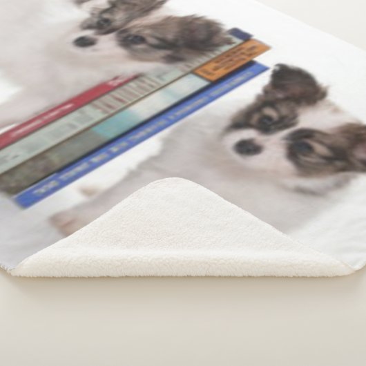 COUVERTURE SHERPA LIVRES POPULÉS (3/4)