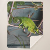 COUVERTURE SHERPA LIZARD VERT (Devant)