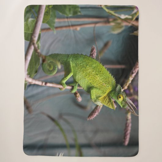 COUVERTURE SHERPA LIZARD VERT (Devant)