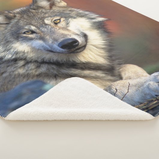 Couverture Sherpa Loup (3/4)
