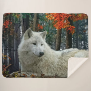 COUVERTURE SHERPA LOUP BLANC