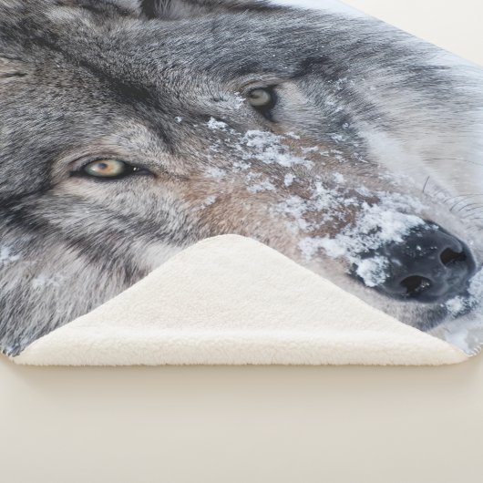 Couverture Sherpa Loup de bois (3/4)