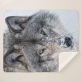 Couverture Sherpa Loup de bois (Devant (Horizontal))