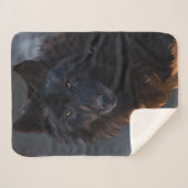 Couverture Sherpa Loup noir (Devant (Horizontal))