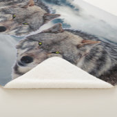 Couverture Sherpa Loups (3/4)