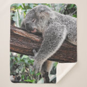 COUVERTURE SHERPA L'OURS DE KOALA DORT SUR L'ARBRE (Devant)