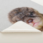 Couverture Sherpa loutre de bébé mignon (3/4)