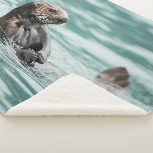 Couverture Sherpa Loutre de mer de observation (3/4)