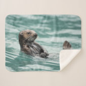 Couverture Sherpa Loutre de mer de observation (Devant (Horizontal))