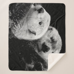 Couverture Sherpa Loutres de mer : Paire blanche noire.