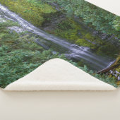 Couverture Sherpa Lower Proxy Falls | Forêt nationale de Willamette (3/4)