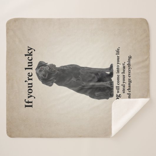 Couverture Sherpa Lucky Black Lab (Devant (Horizontal))