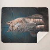 Couverture Sherpa Lynx (Devant (Horizontal))