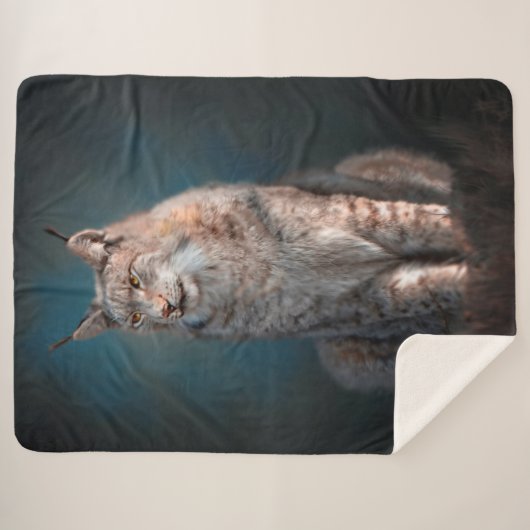 Couverture Sherpa Lynx (Devant (Horizontal))