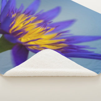 Couverture Sherpa Lys d'eau violet