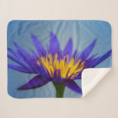 Couverture Sherpa Lys d'eau violet (Devant (Horizontal))