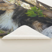 Couverture Sherpa magnifique chaton coloré (3/4)