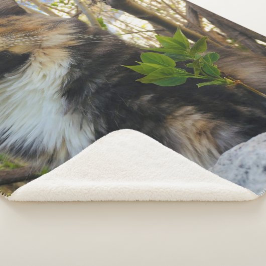 Couverture Sherpa magnifique chaton coloré (3/4)